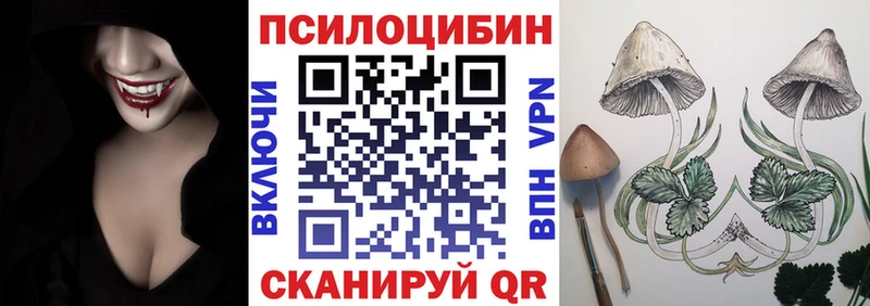 Псилоцибиновые грибы ЛСД купить наркотики сайты Новокузнецк