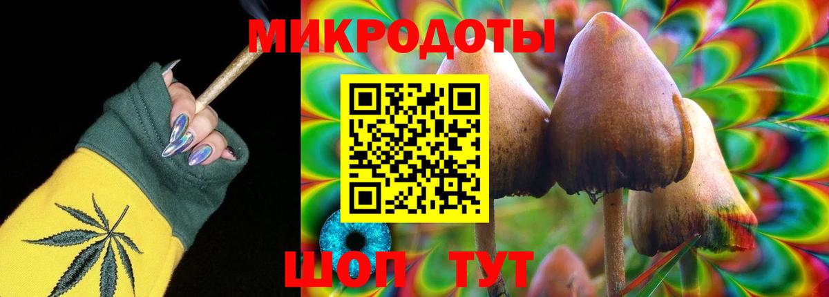 Псилоцибиновые грибы мицелий Новокузнецк
